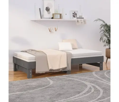 Väljatõmmatav Päevavoodi, Hall, 2 X (90X190) cm Männipuit