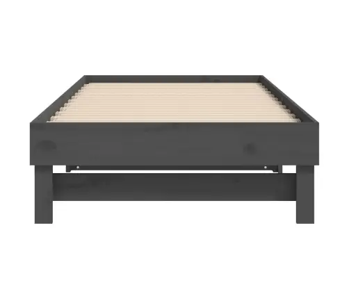 Väljatõmmatav Päevavoodi, Hall, 2 X (90X190) cm Männipuit