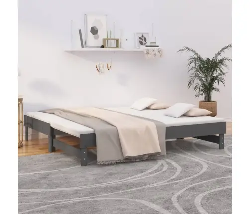 Väljatõmmatav Päevavoodi, Hall, 2 X (90X190) cm Männipuit