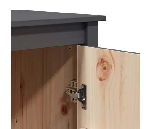 Kapp, Hall, 83 X 41,5 X 100 cm Männipuit