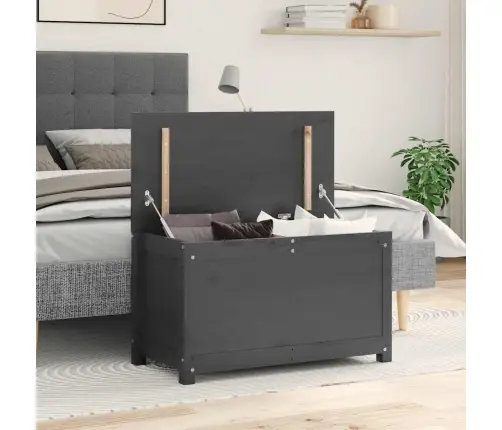 Uzglabāšanas Kaste, Pelēka, 80X40X45,5 Cm, Priedes Masīvkoks Vidaxl