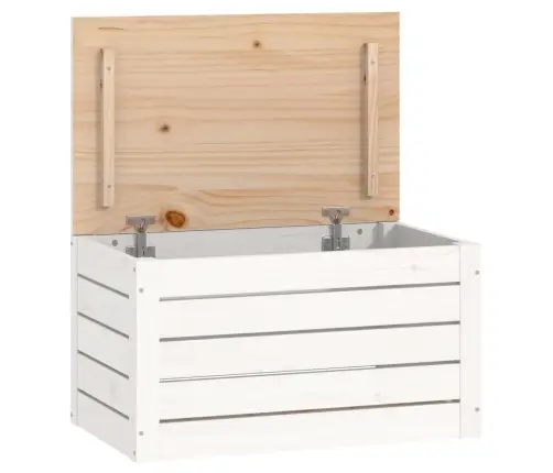 Hoiukast, Valge, 59,5 X 36,5 X 33 cm Männipuit