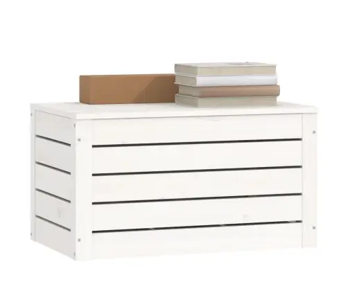 Hoiukast, Valge, 59,5 X 36,5 X 33 cm Männipuit