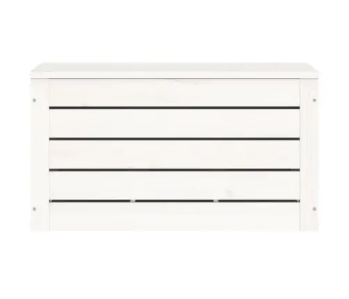 Hoiukast, Valge, 59,5 X 36,5 X 33 cm Männipuit