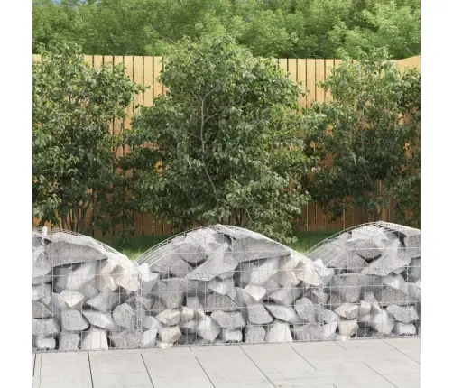 Arkveida Gabiona Grozs, 100X50X40/60 Cm, Cinkota Dzelzs Vidaxl