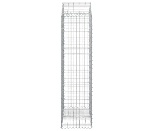 Arkveida Gabiona Grozs, 100X50X180/200 Cm, Cinkota Dzelzs Vidaxl