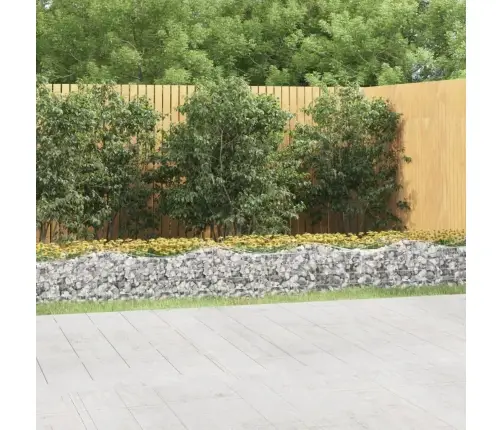 Arkveida Gabiona Grozs, 800X50X50 Cm, Cinkota Dzelzs Vidaxl