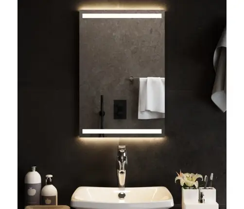 Vonios Kambario Led Veidrodis, 40X60Cm
