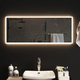 Vannasistabas Spogulis Ar Led, 40X100 Cm Vidaxl