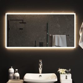 Vannasistabas Spogulis Ar Led, 50X100 Cm Vidaxl
