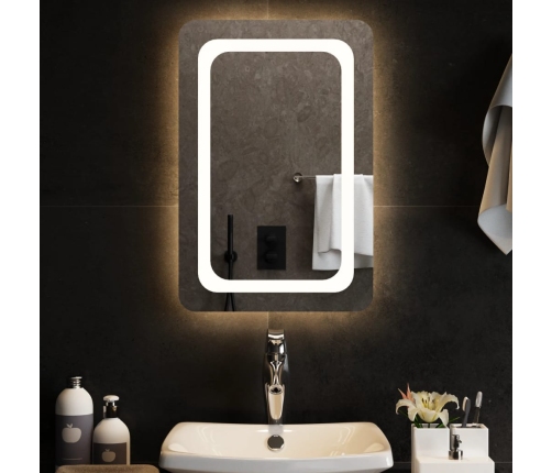 Vannasistabas Spogulis Ar Led, 40X60 Cm Vidaxl