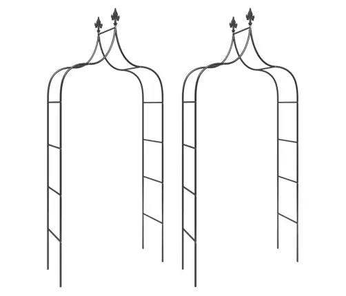 Dārza Arkas, 2 Gab., Melnas, 120X38X260 Cm, Tērauds Vidaxl