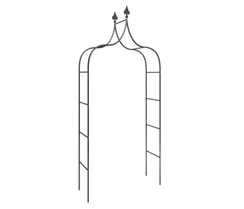 Dārza Arkas, 2 Gab., Melnas, 120X38X260 Cm, Tērauds Vidaxl