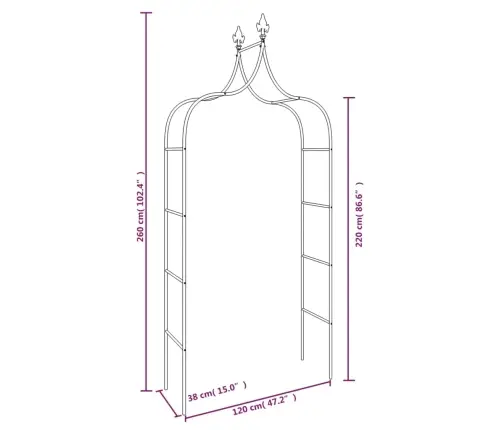 Dārza Arkas, 2 Gab., Melnas, 120X38X260 Cm, Tērauds Vidaxl