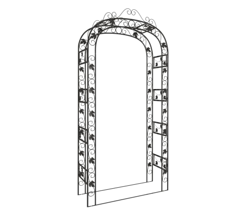 Sodo Arka, Juodos Spalvos, 116X45X240cm Plienas