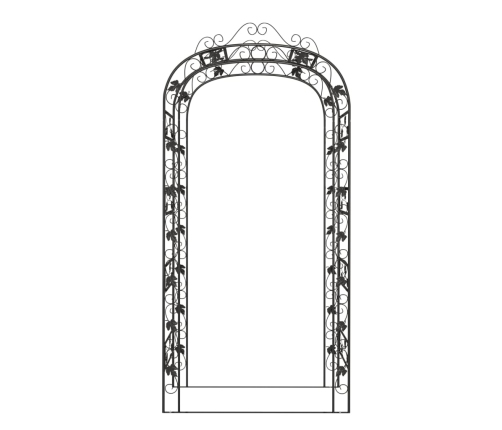 Sodo Arka, Juodos Spalvos, 116X45X240cm Plienas