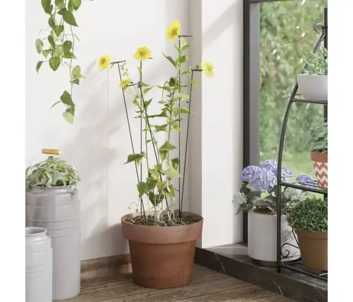 Taimetugi, 20 Tk, Tumeroheline, 40 cm Teras