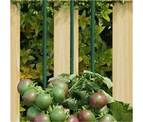 Taimetugi, 30 Tk, Roheline, 90 cm Teras