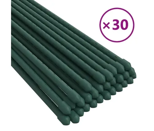 Taimetugi, 30 Tk, Roheline, 180 cm Teras