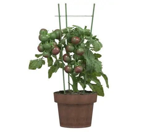 Sodo Augalų Atramos Su 3 Žiedais, 5Vnt., Žalios, 45cm Plienas