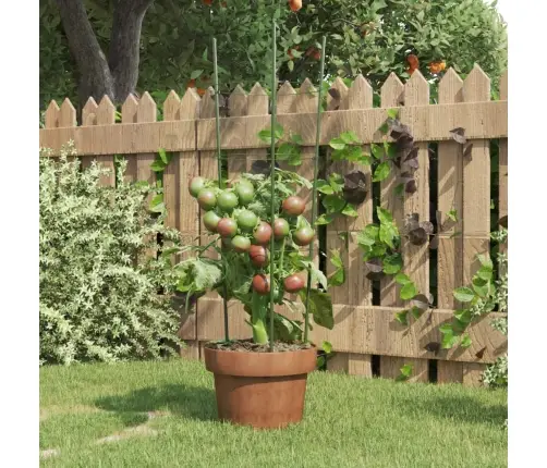 Sodo Augalų Atramos Su 3 Žiedais, 5Vnt., Žalios, 60cm Plienas