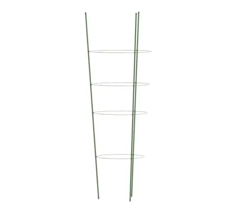 Aia Taimetoed 4 Rõngaga 5 Tk Roheline 90 Cm Teras