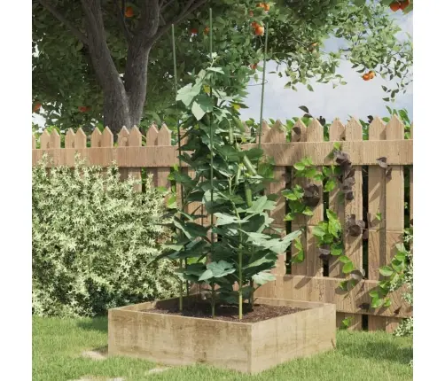 Aia Taimetoed 4 Rõngaga 5 Tk Roheline 90 Cm Teras