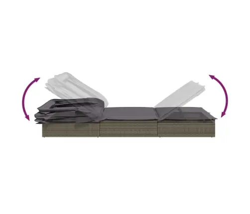 Sauļošanās Gulta, Saliekams Jumts, Pelēks Pe Pinums, Divvietīga Vidaxl