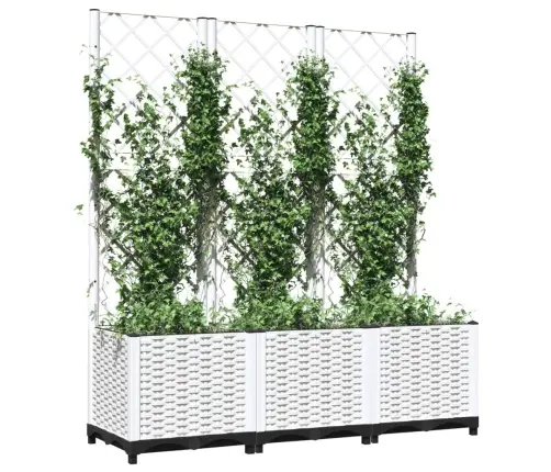 Võrega Taimekast, Valge, 120 X 40 X 136 Cm Pp