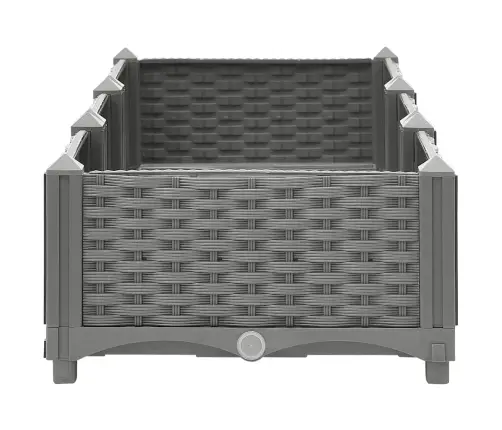 Aukštas Lovelis, 120X40X23cm Polipropilenas