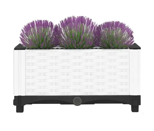 Puķu Kaste, 40X40X23 Cm, Polipropilēns Vidaxl