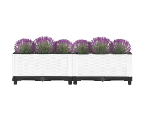 Taimelava, 80 X 40 X 23 cm Polüpropüleen