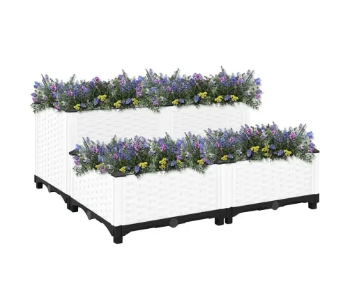 Puķu Kaste, 80X80X38 Cm, Polipropilēns Vidaxl