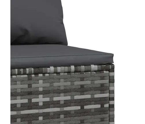 Vidējie Dārza Dīvāni, Spilveni, 2 Gab., Pelēka Pe Rotangpalma Vidaxl
