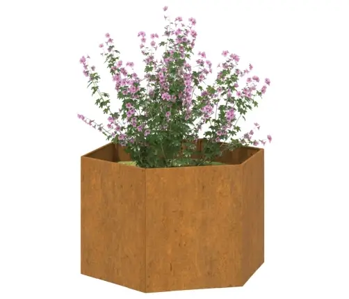 Taimekast, Rooste, 60X60X45 cm Corten Teras