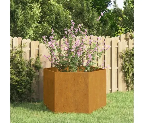 Taimekast, Rooste, 60X60X45 cm Corten Teras