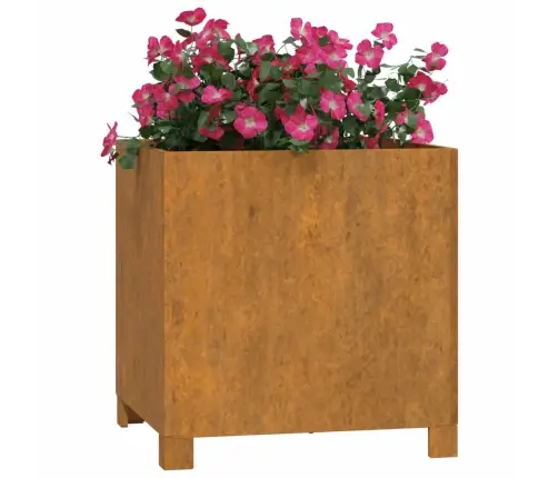 Puķu Kastes Ar Kājām, 2 Gb., Rūsas, 42X40X43Cm, Kortena Tērauds Vidaxl