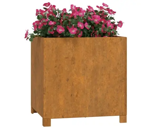 Jalgadega Taimekastid, 2 Tk, Rooste, 50X50X50 cm Corten Teras