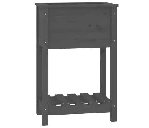 Puķu Kaste Ar Plauktu, Pelēka, 54X34,5X81 Cm, Priedes Masīvkoks Vidaxl