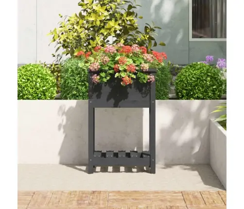 Puķu Kaste Ar Plauktu, Pelēka, 54X34,5X81 Cm, Priedes Masīvkoks Vidaxl