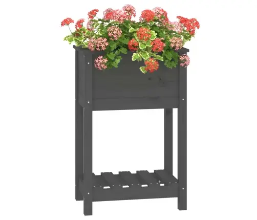 Puķu Kaste Ar Plauktu, Pelēka, 54X34,5X81 Cm, Priedes Masīvkoks Vidaxl