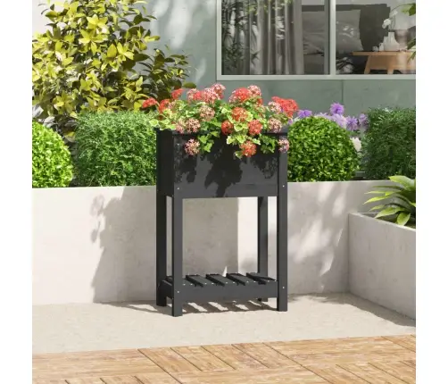 Puķu Kaste Ar Plauktu, Pelēka, 54X34,5X81 Cm, Priedes Masīvkoks Vidaxl