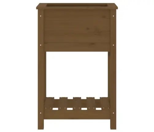 Puķu Kaste Ar Plauktu, Medus Brūna, 54X34,5X81 Cm, Priedes Koks Vidaxl