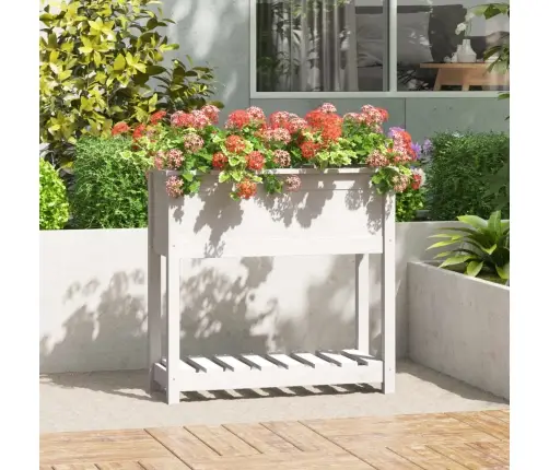 Puķu Kaste Ar Plauktu, Balta, 82,5X34,5X81Cm, Priedes Masīvkoks Vidaxl