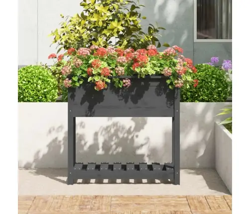 Riiuliga Taimekast, Hall, 82,5X34,5X81 cm Männipuit