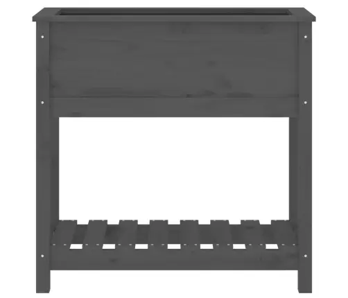 Riiuliga Taimekast, Hall, 82,5X34,5X81 cm Männipuit