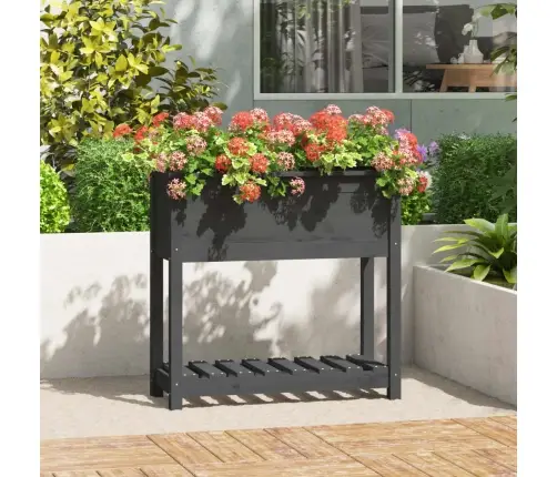 Riiuliga Taimekast, Hall, 82,5X34,5X81 cm Männipuit