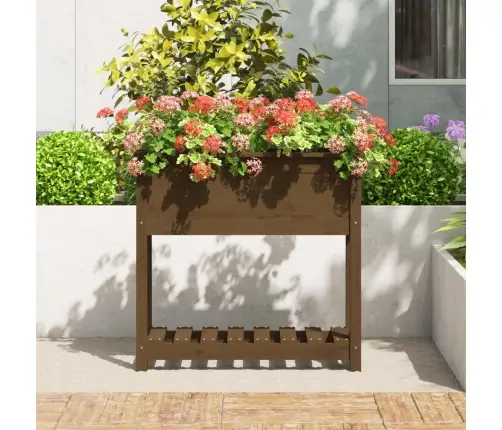 Lovelis Su Lentyna, Medaus Rudas, 82,5X34,5X81cm Pušis