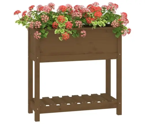 Lovelis Su Lentyna, Medaus Rudas, 82,5X34,5X81cm Pušis