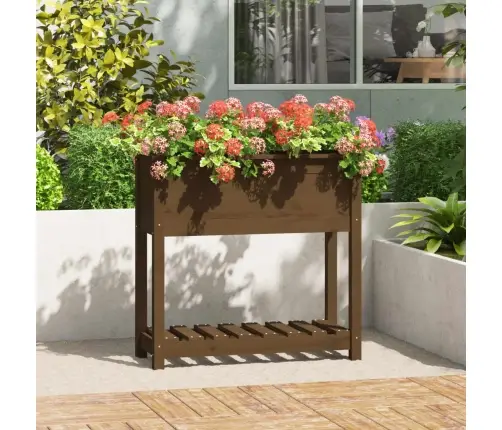 Lovelis Su Lentyna, Medaus Rudas, 82,5X34,5X81cm Pušis